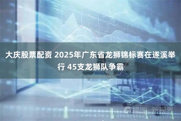大庆股票配资 2025年广东省龙狮锦标赛在遂溪举行 45支龙狮队争霸